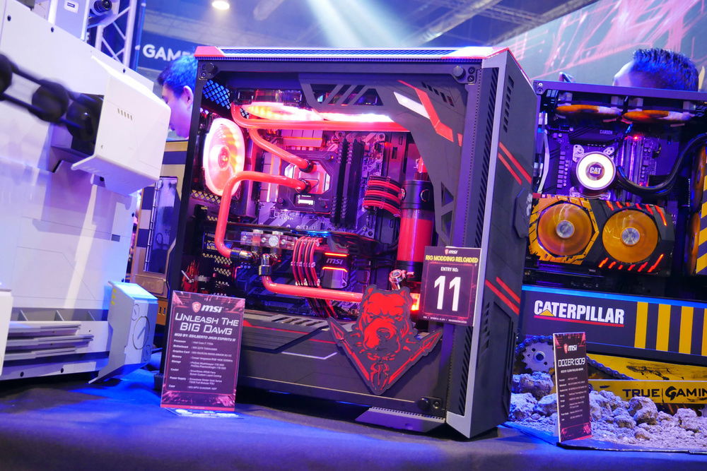 CODENAME: Unleash The BIG Dawg