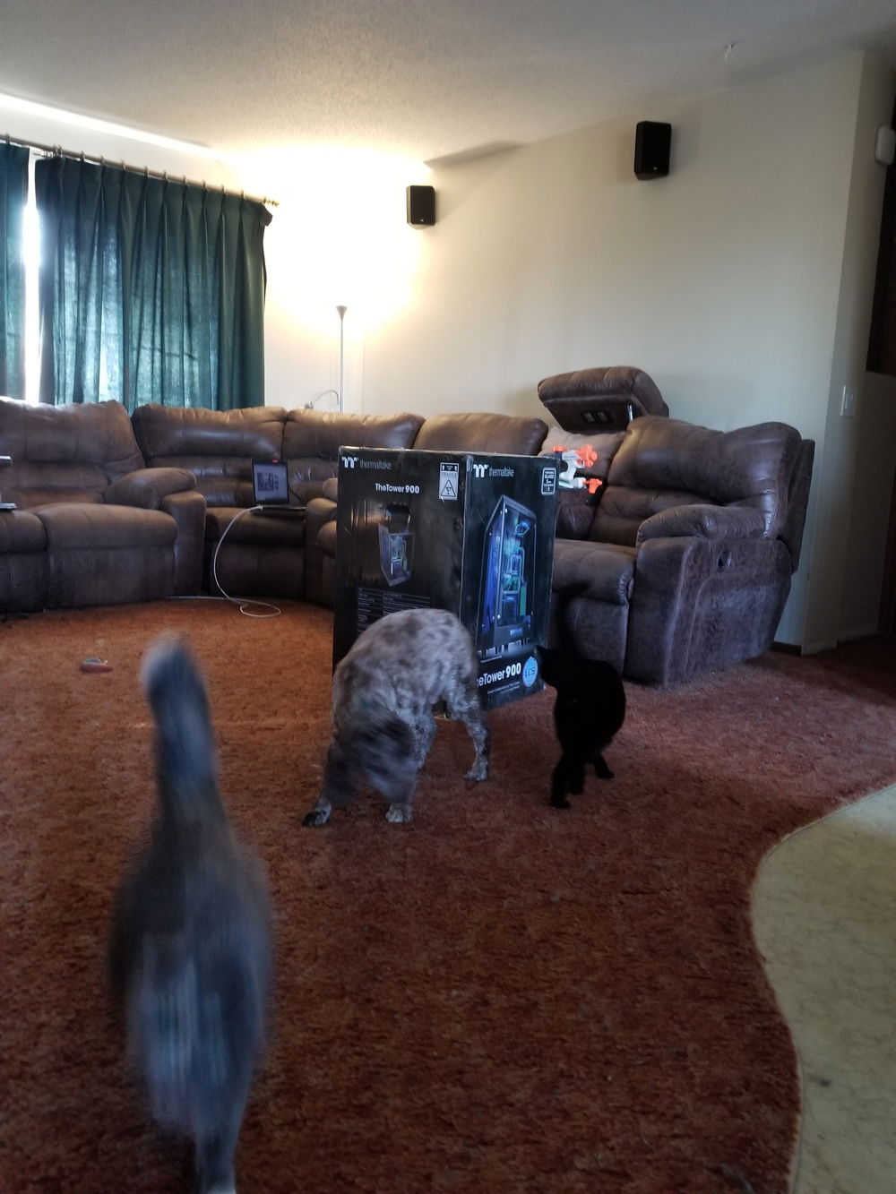 Case was the first thing to arrive.  I'm not saying mistakes were made, I'm just saying I may have underestimated how big this case is.