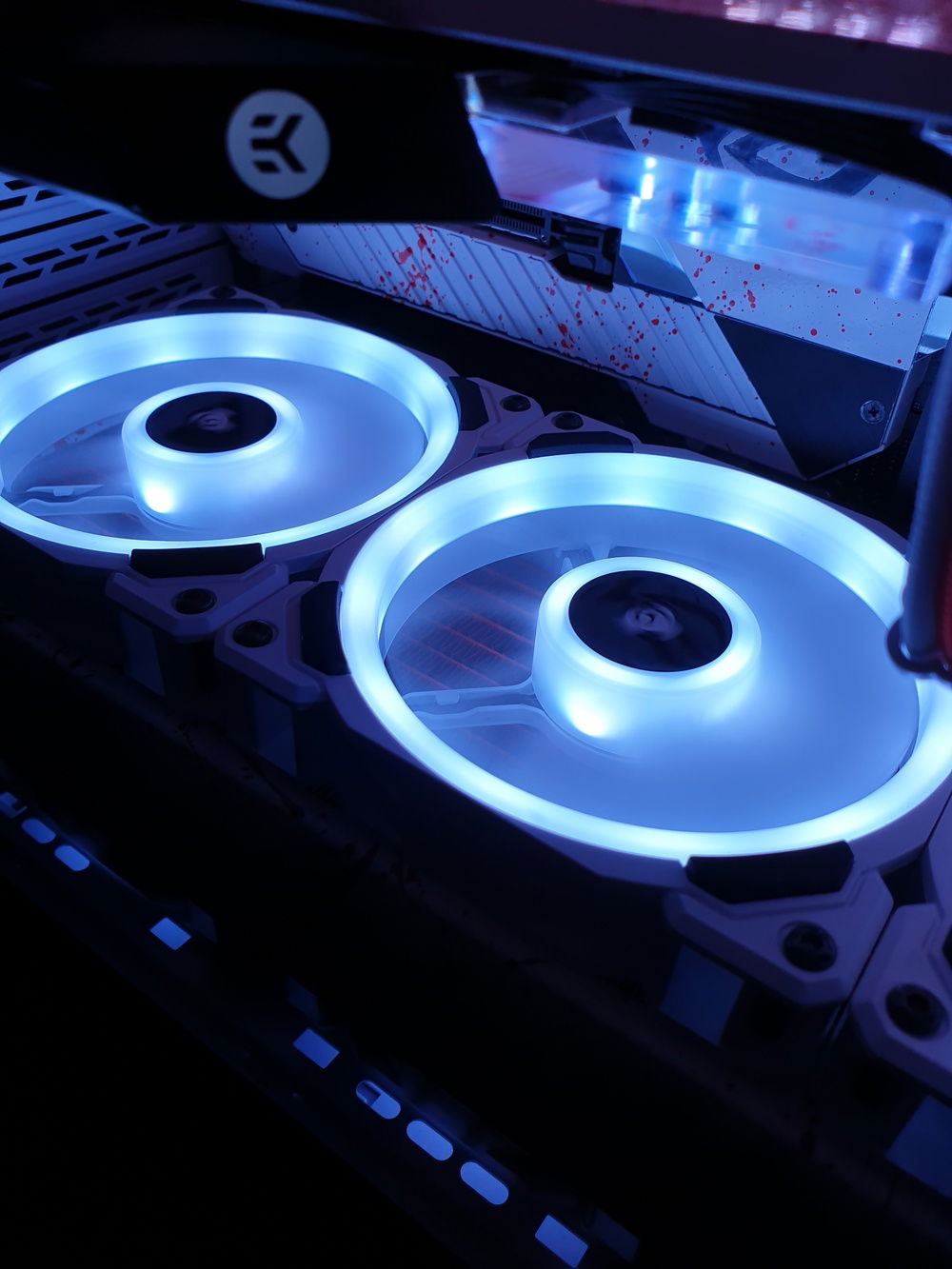 Might be hard to see, but i absolutely LOVE the red fins!