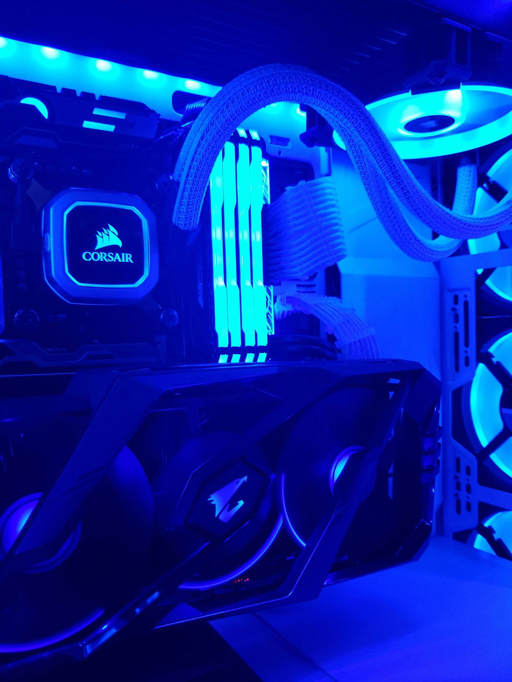 Even the AiO sleeving reflects the RGB LEDs well!