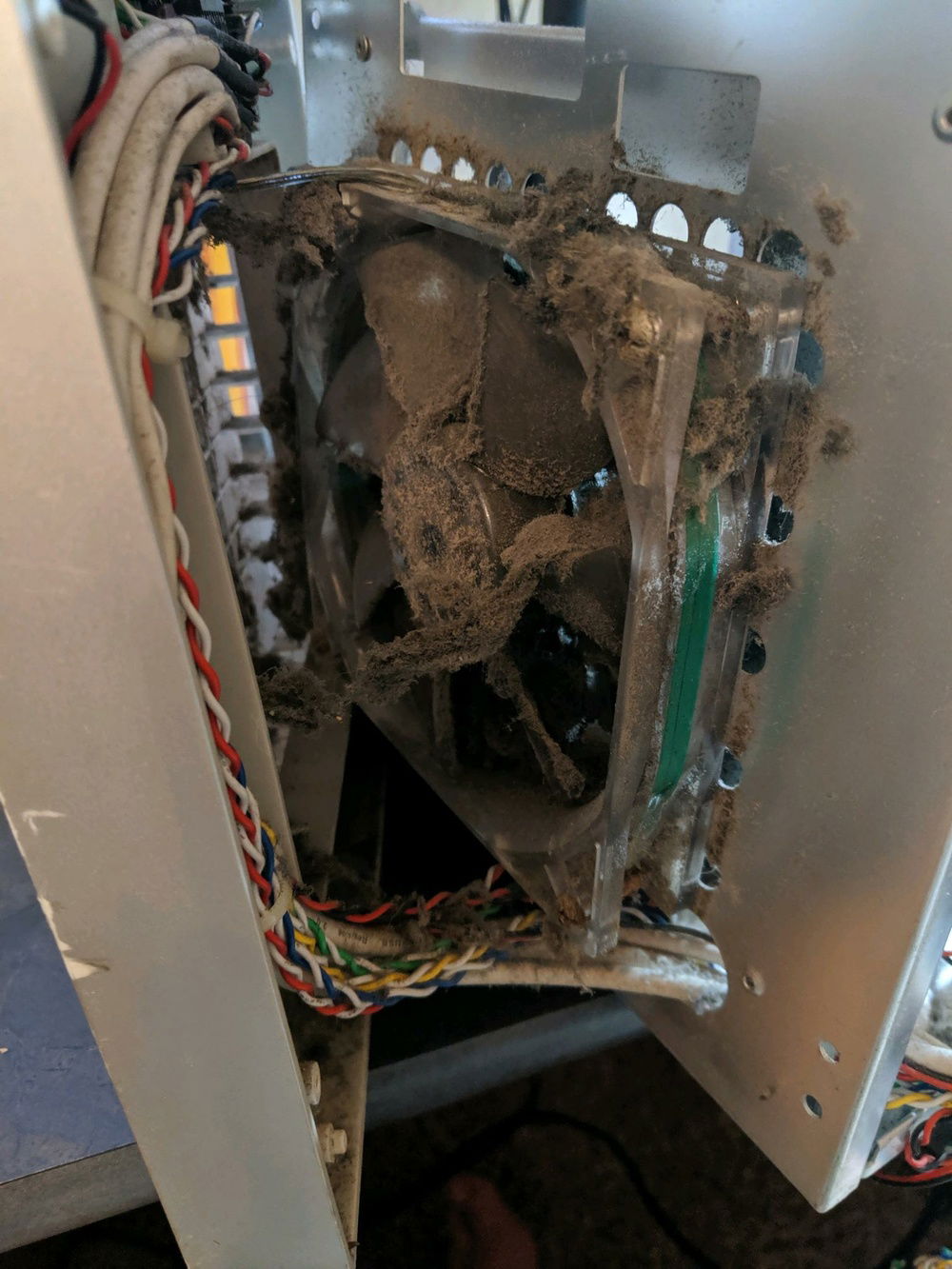 nasty little surprise when I opened it up