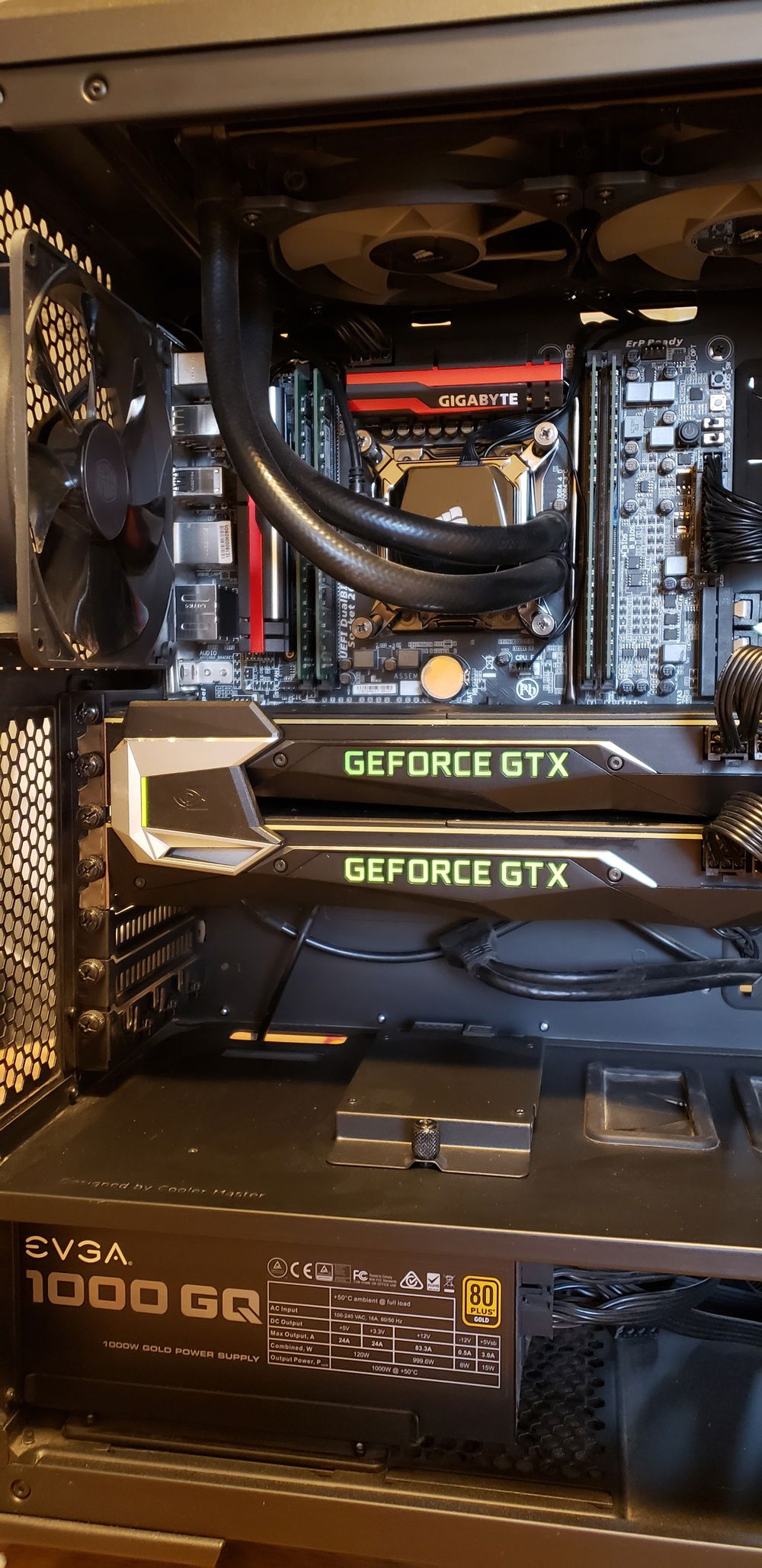 This is just the first image. It was taken during a cleaning session. More will be added soon.