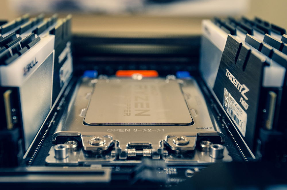 Surrounded by it's new memory family