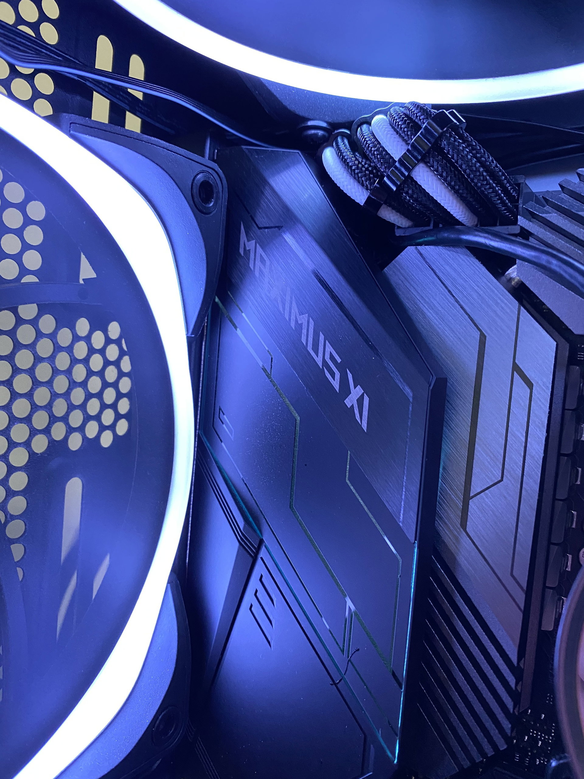 H710i. » builds.gg