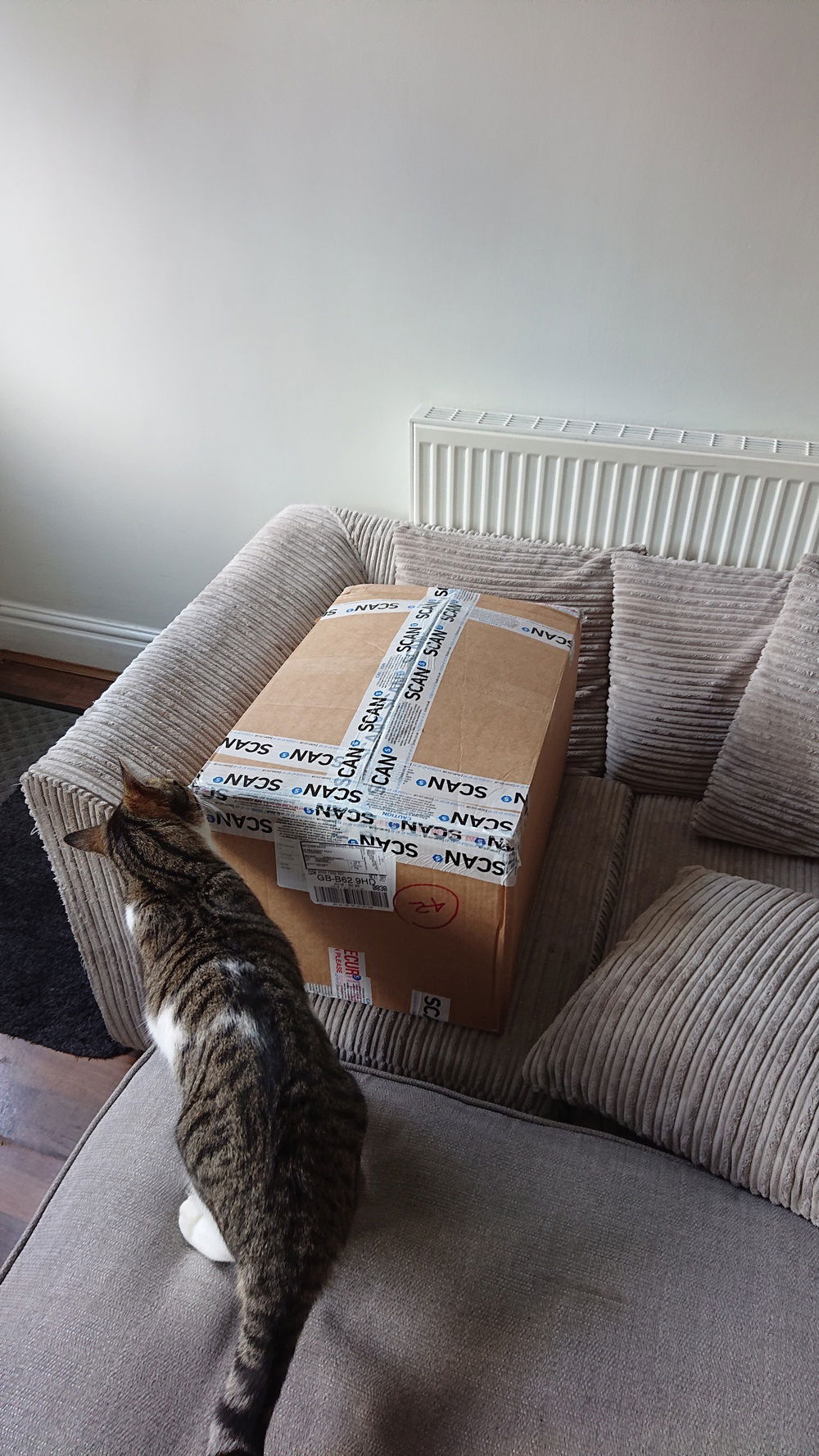 What's this? Is it for me?