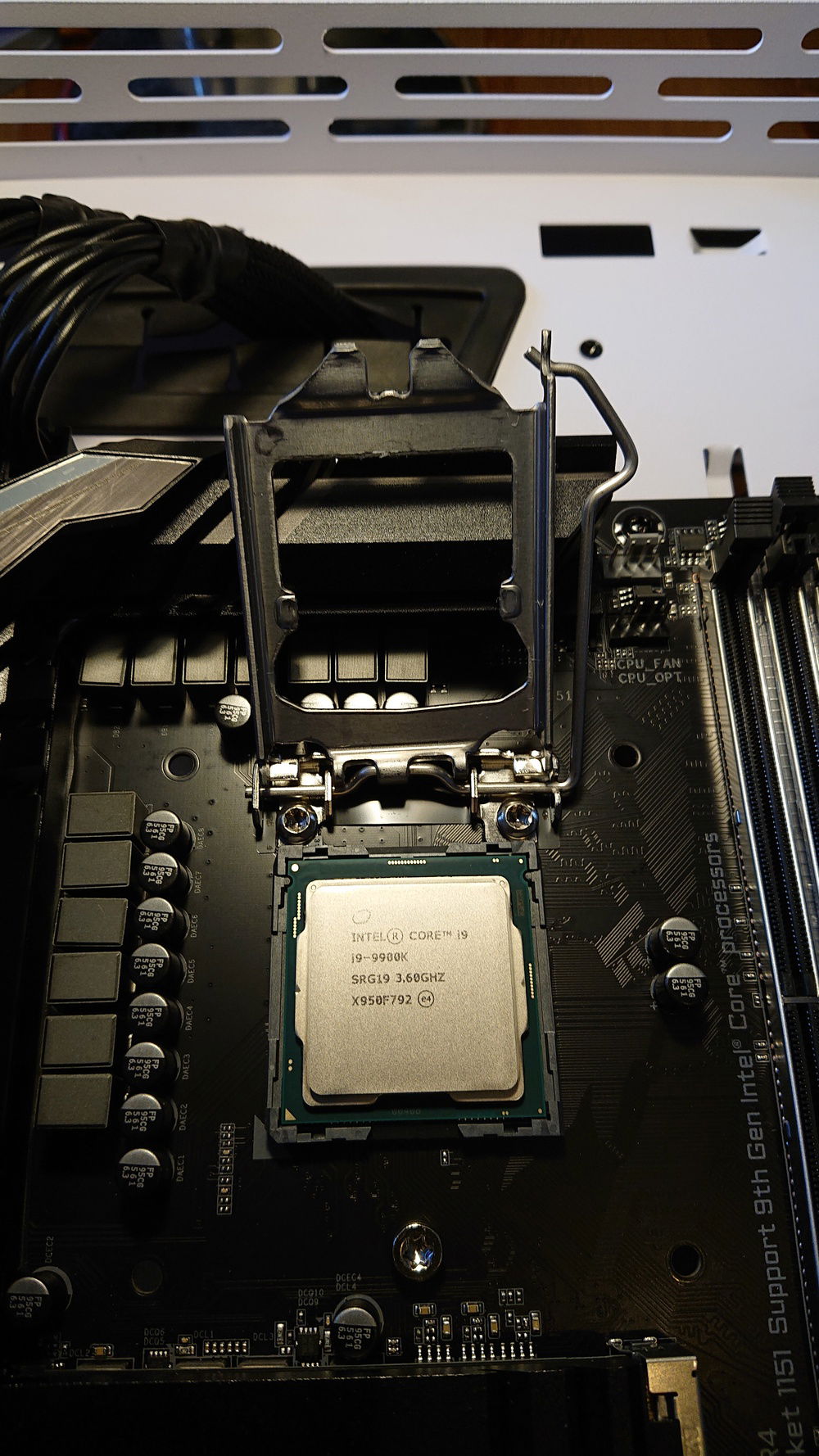 So fresh and so clean