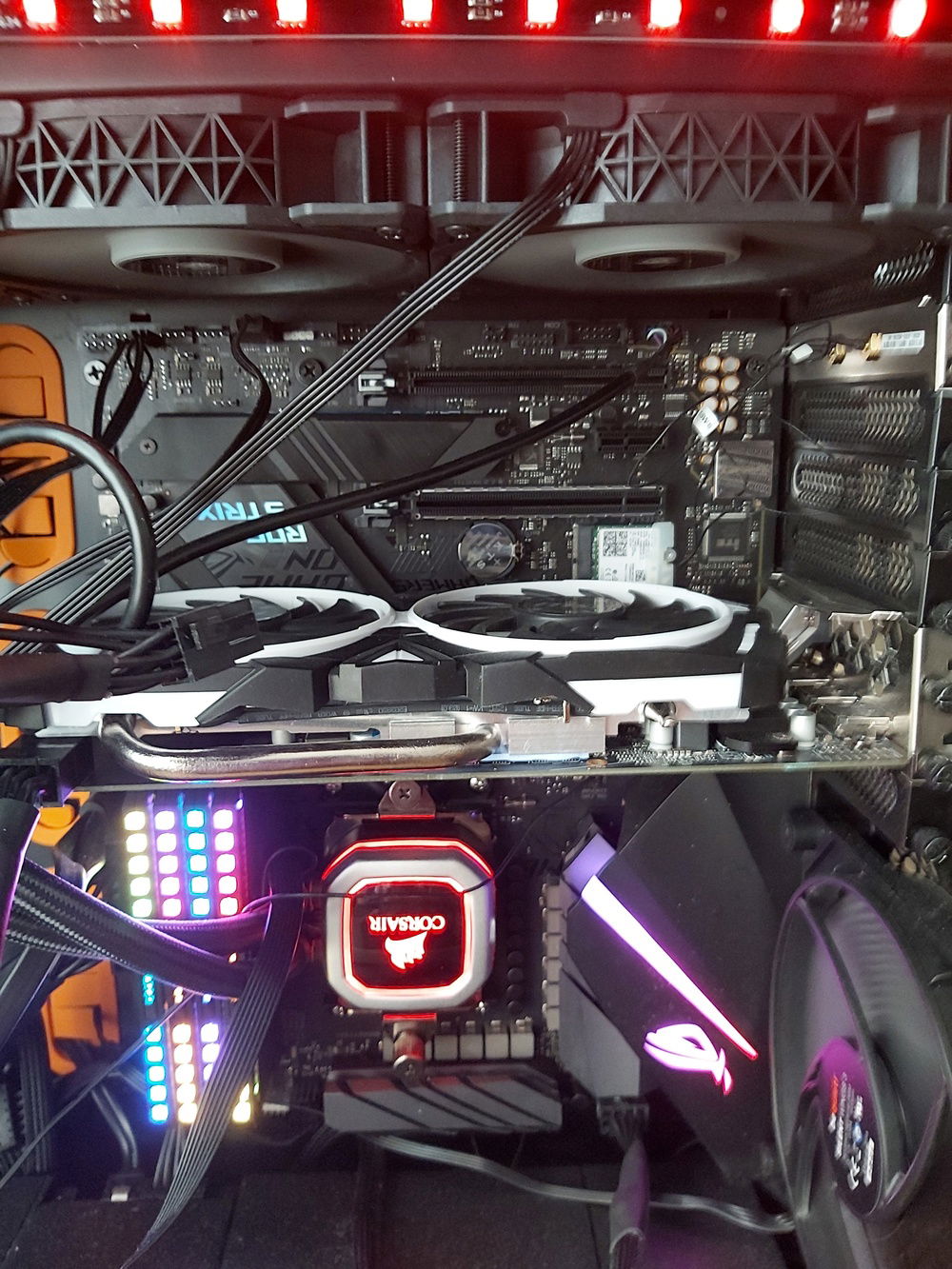 Close-up #2 (no glass)