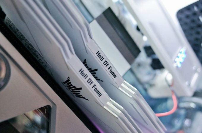 Limited model specializing in OC