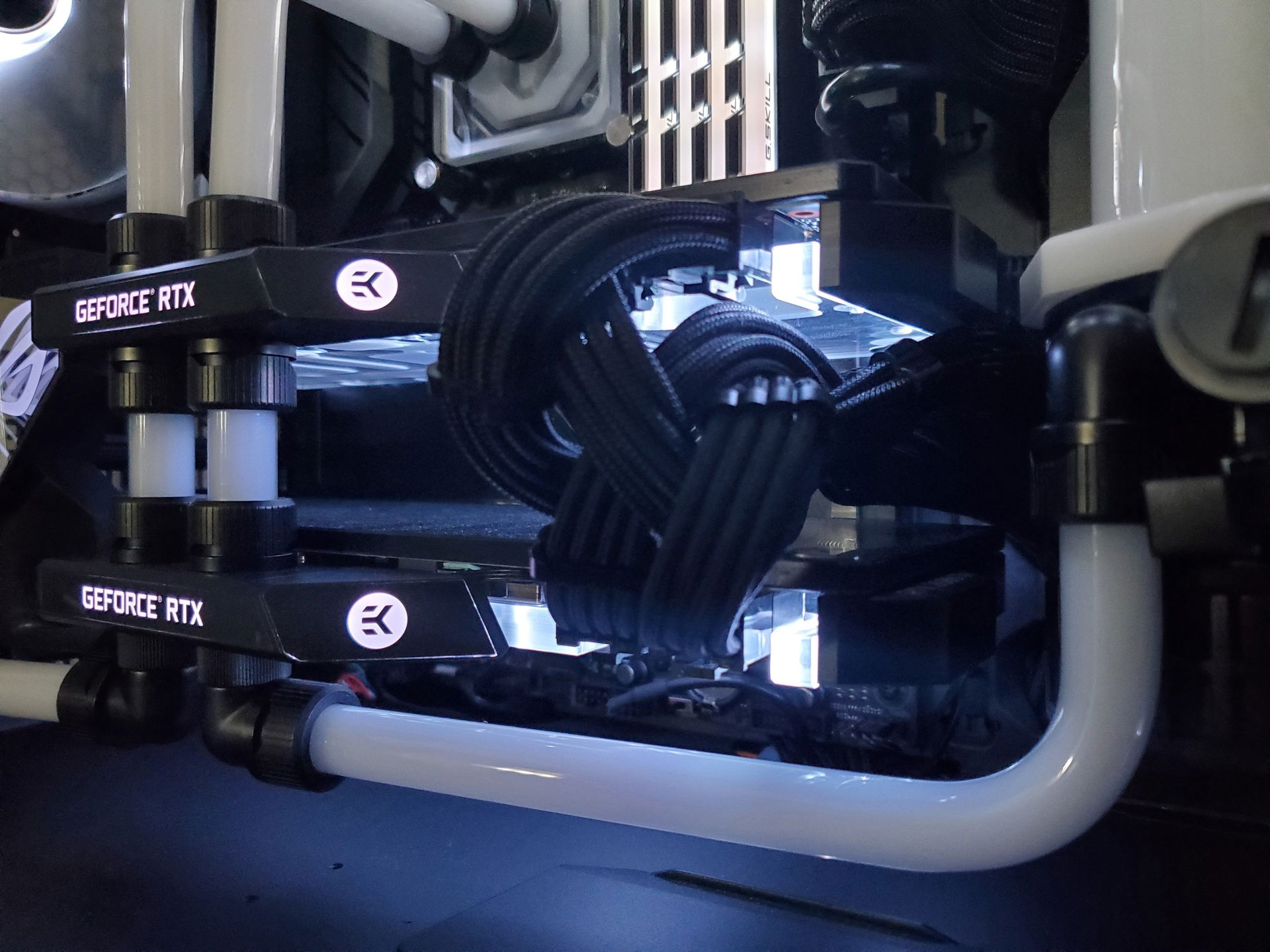 Black/White Water Cooled Build » builds.gg