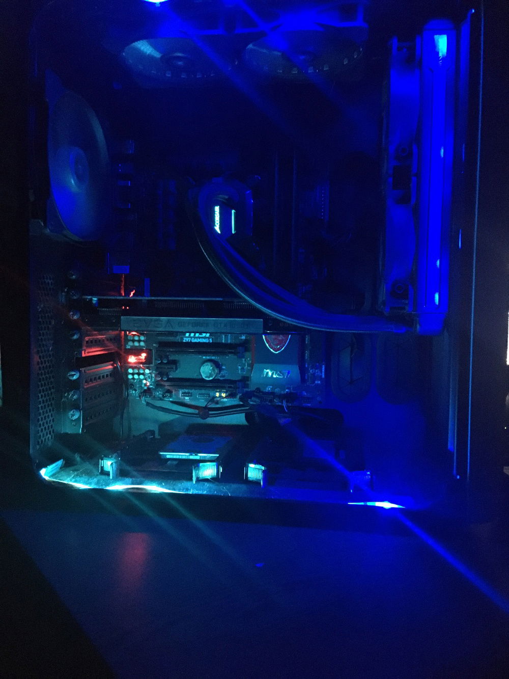 Inside the case