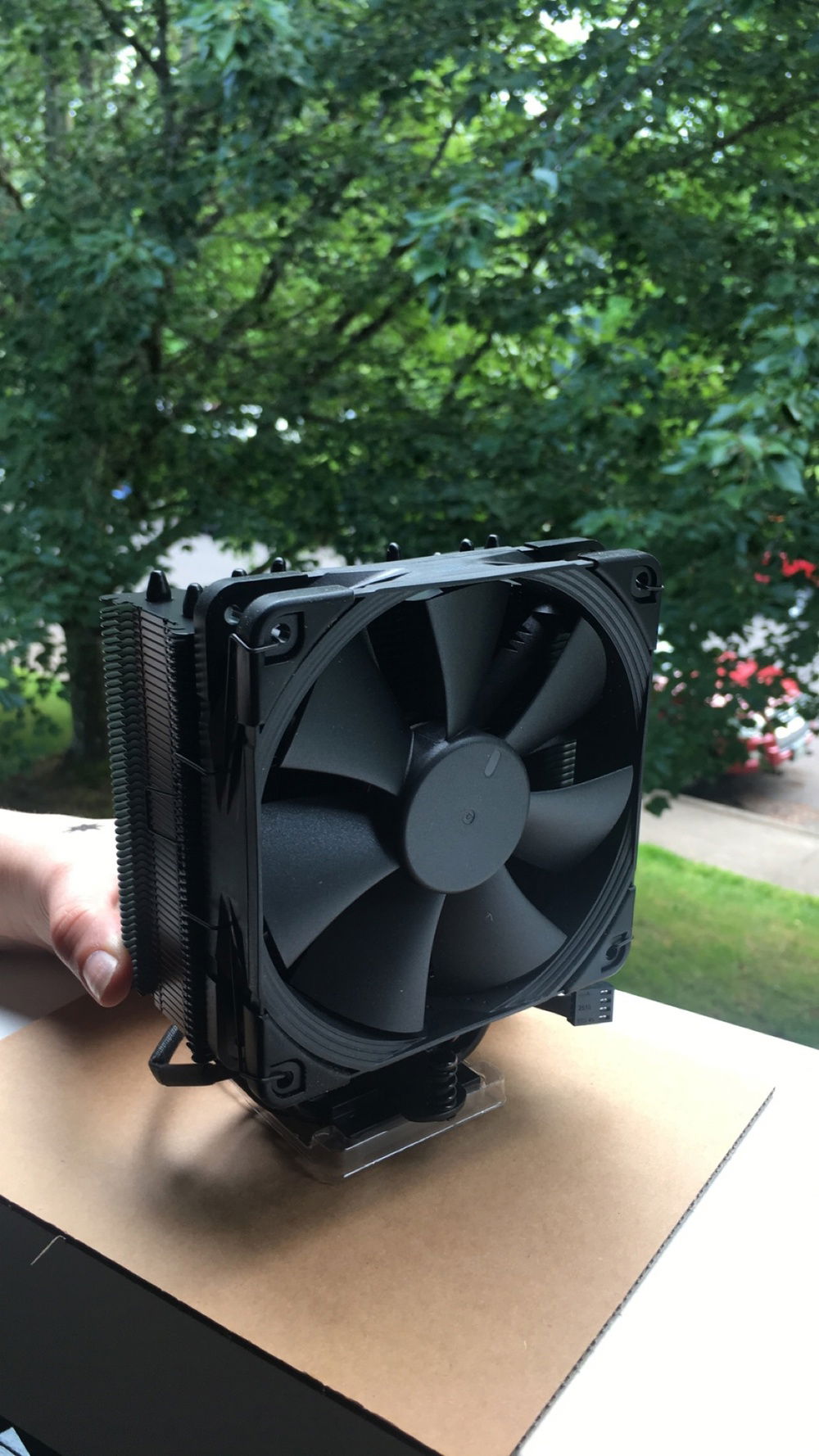 Holy cow this thing is sexy 🥰