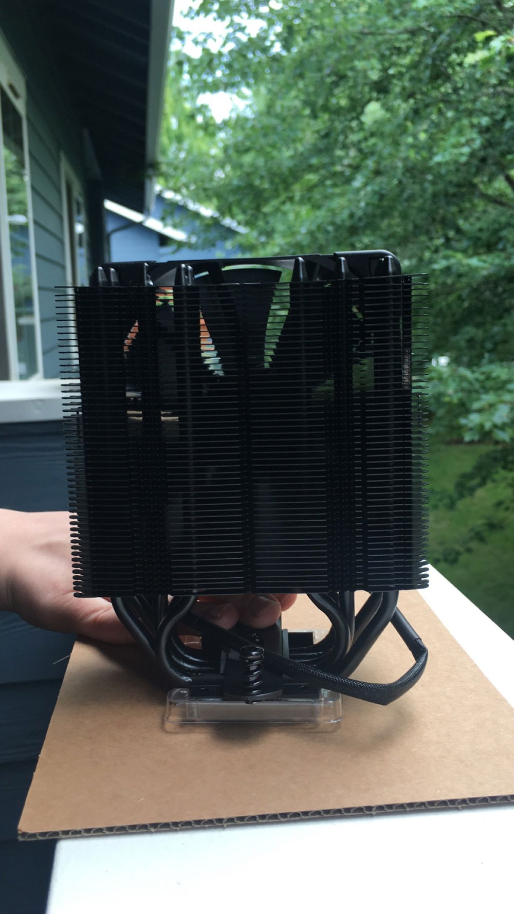 Holy cow this thing is sexy 🥰