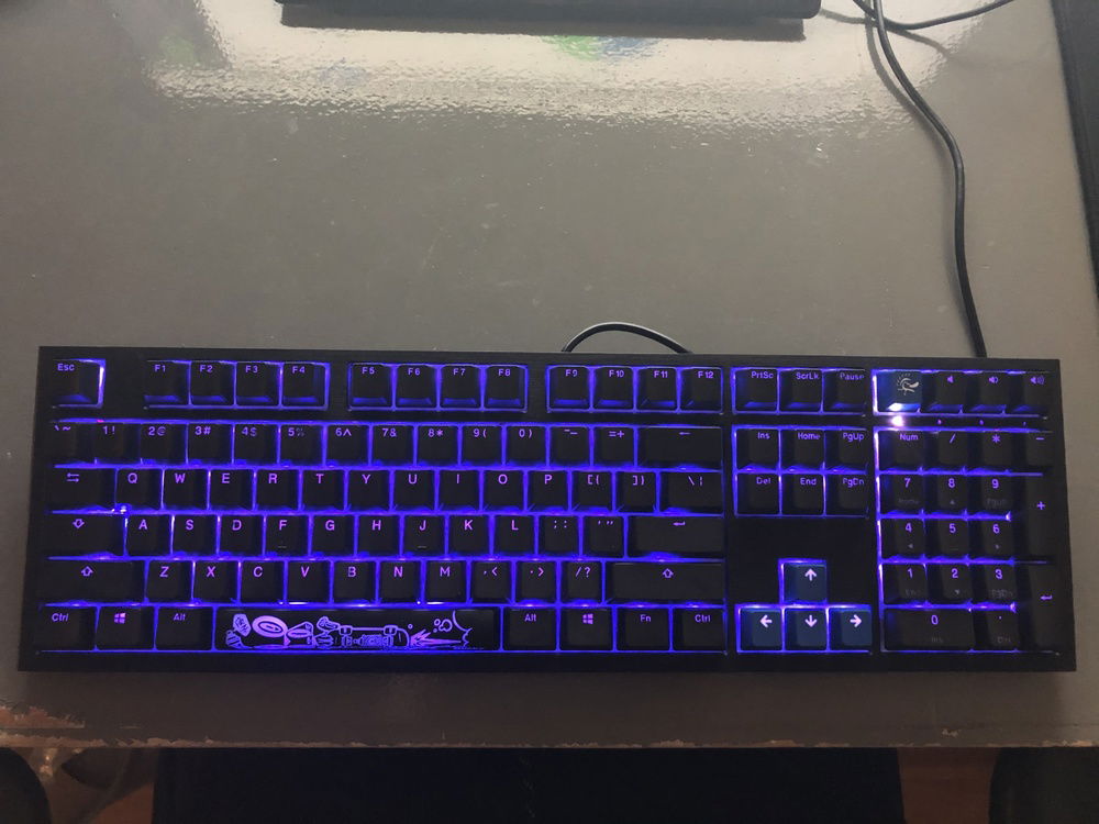 Just got my new kb! Ducky shine 7 blackout. New pbt doubleshot pudding keycaps on the way!