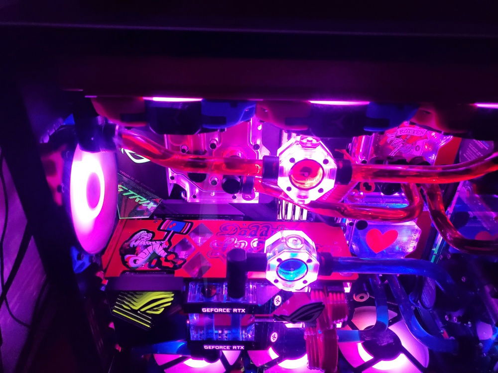 Harley Quinn showing her case off on the custom backplate!