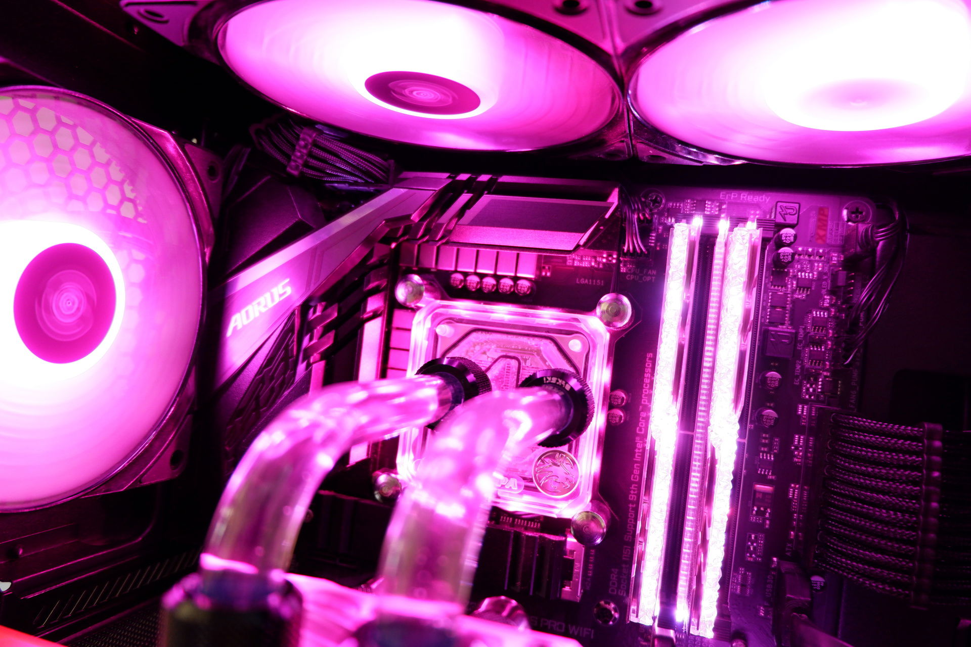 Pink Aorus Buildsgg