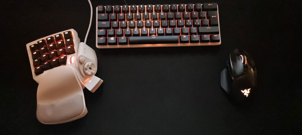 Black caps from a Orbweaver and black caps from a broken Huntsman mini