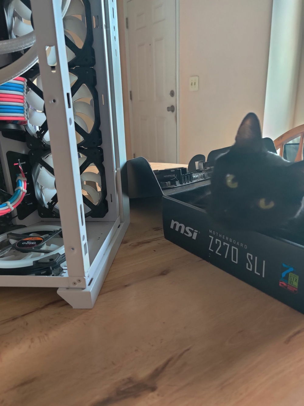 My most trusted helper.