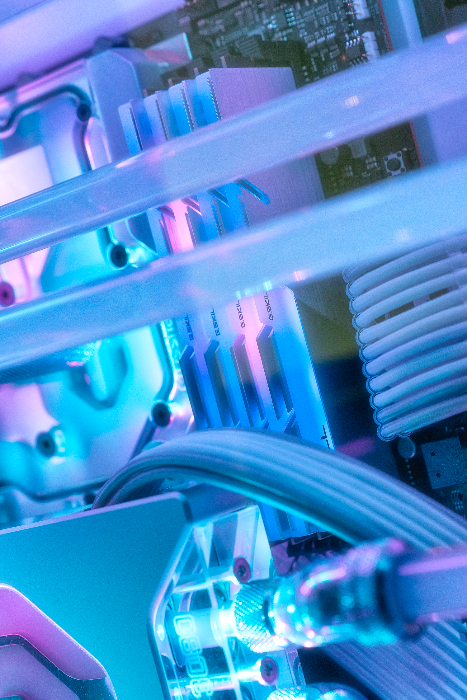 Purple Aurora » builds.gg