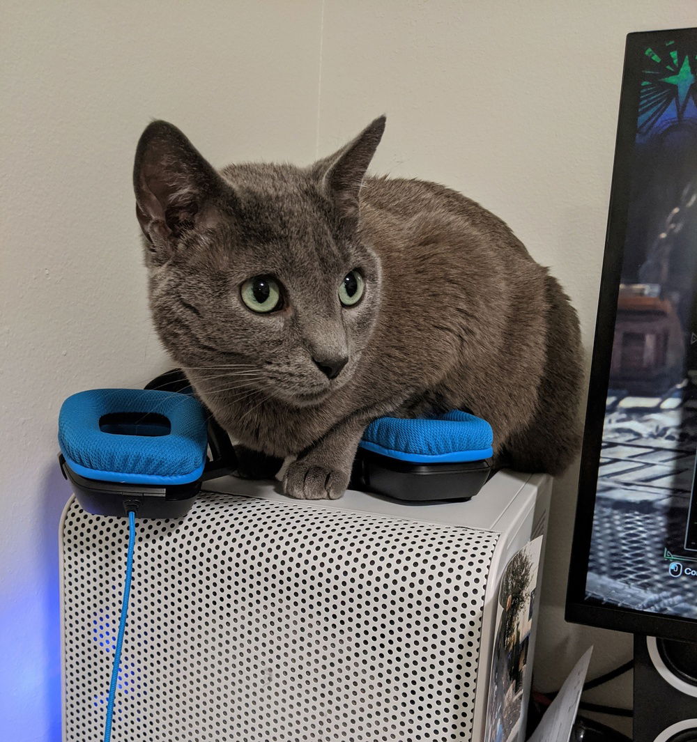 Complete build with cat tax