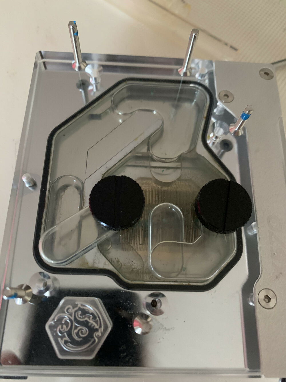 Before Cleaning, foggy panels, yellowing block and green debris.