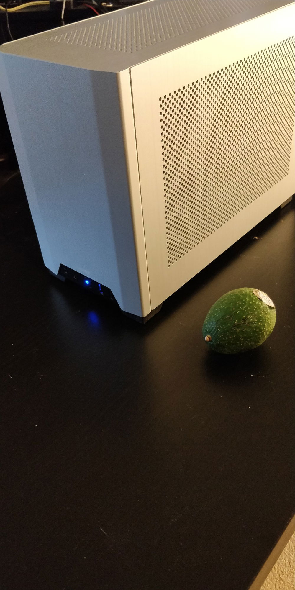 Avocado for scale in absence of a banana.