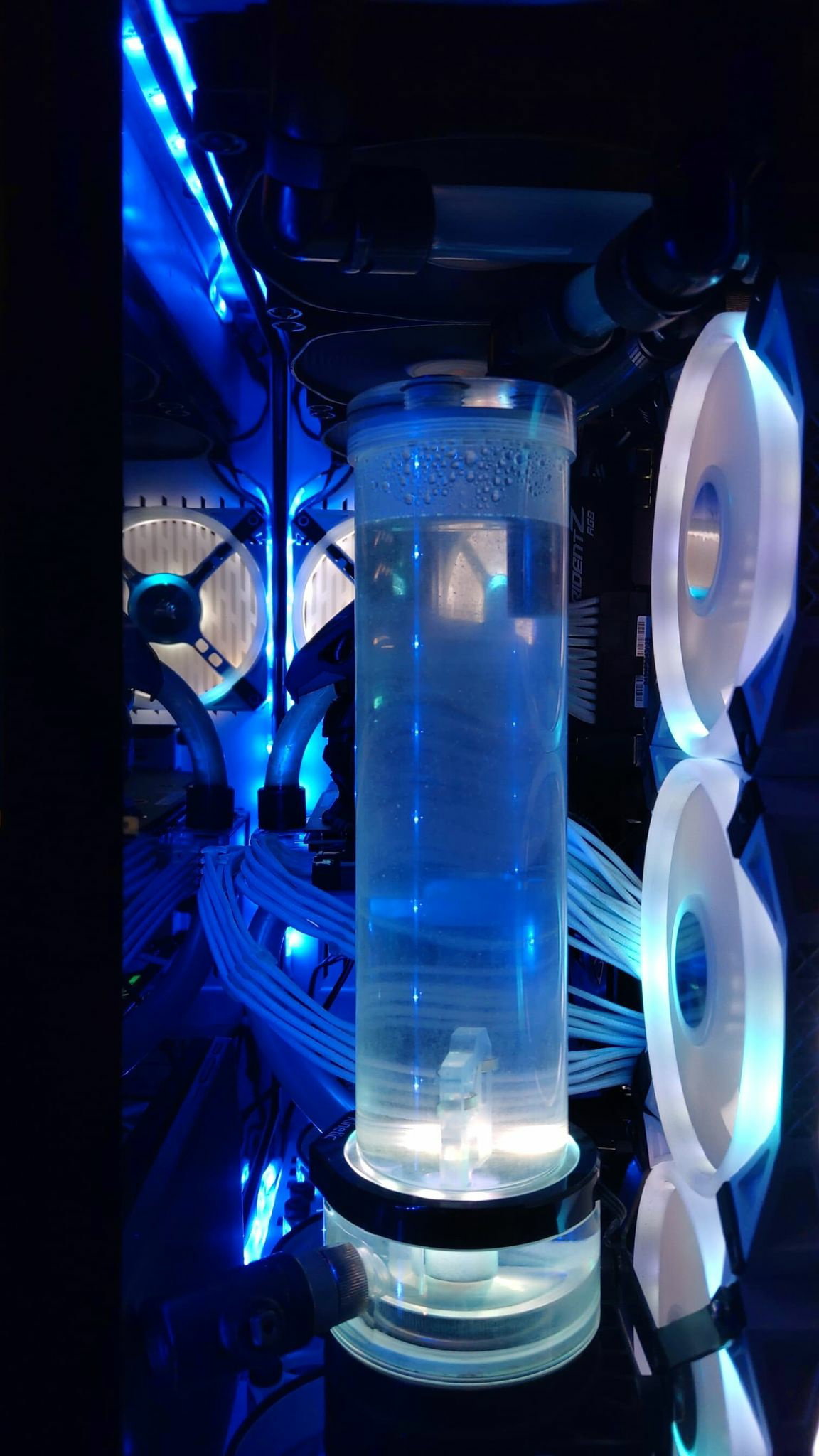Blue Steel » builds.gg