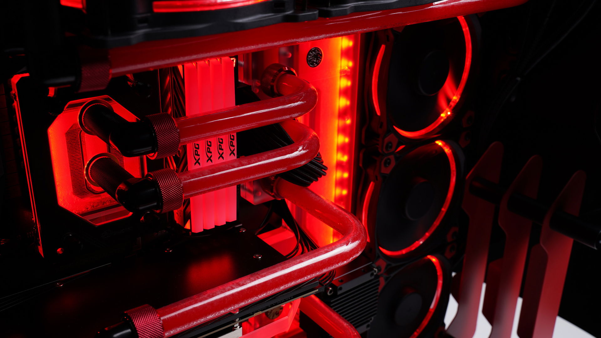 Red & Black on the Cougar Blazer » builds.gg