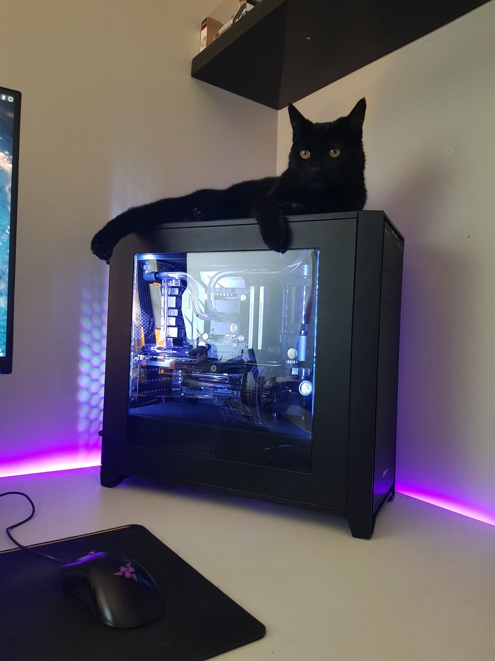 My cat loves the warm exhaust coming out the top