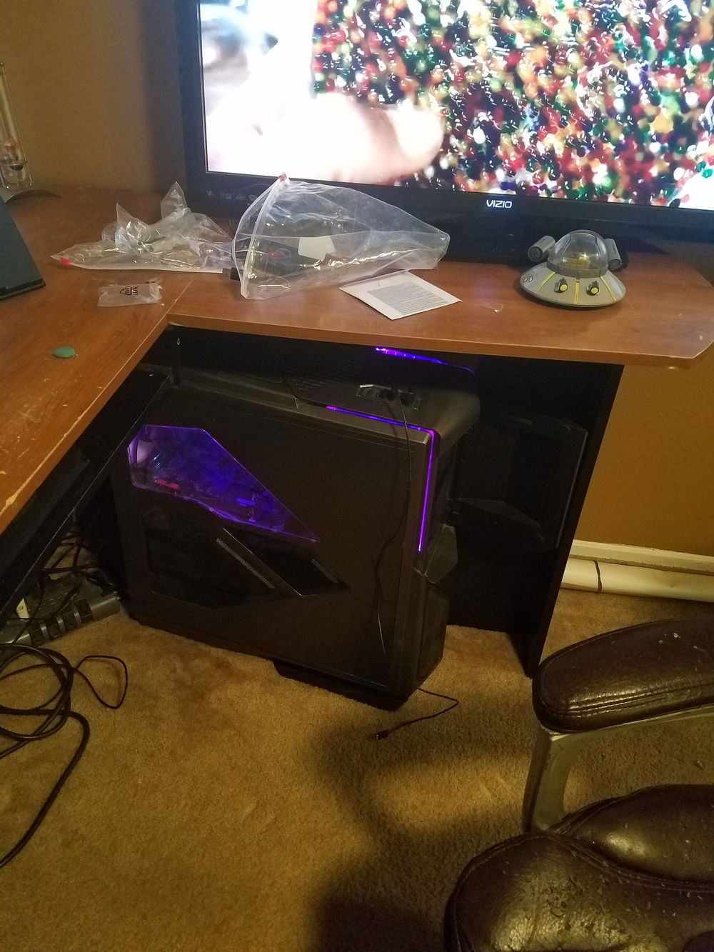 Her chilling under my desk with the amazing color scheme.