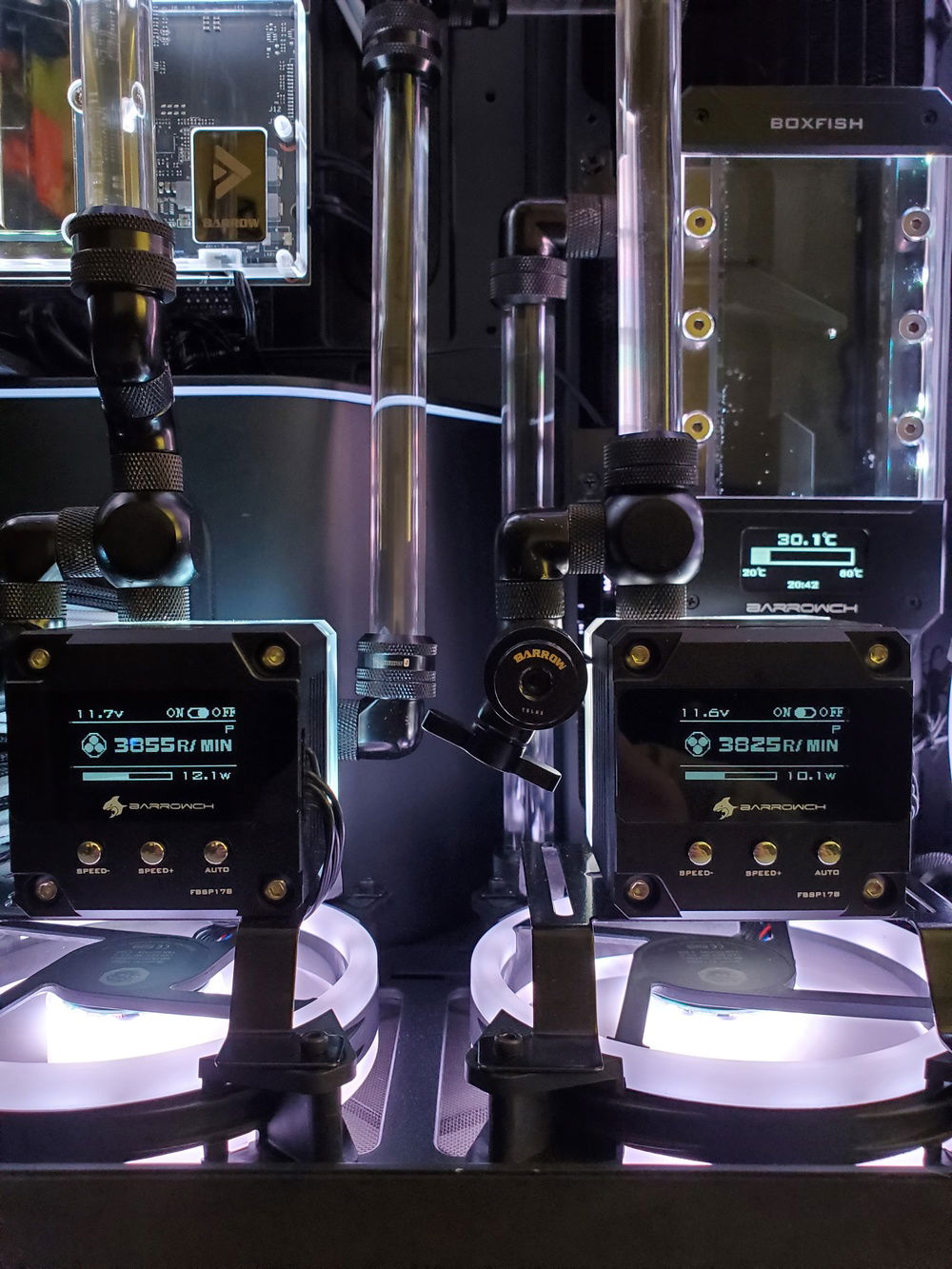 Dual pumps with flowrate displays