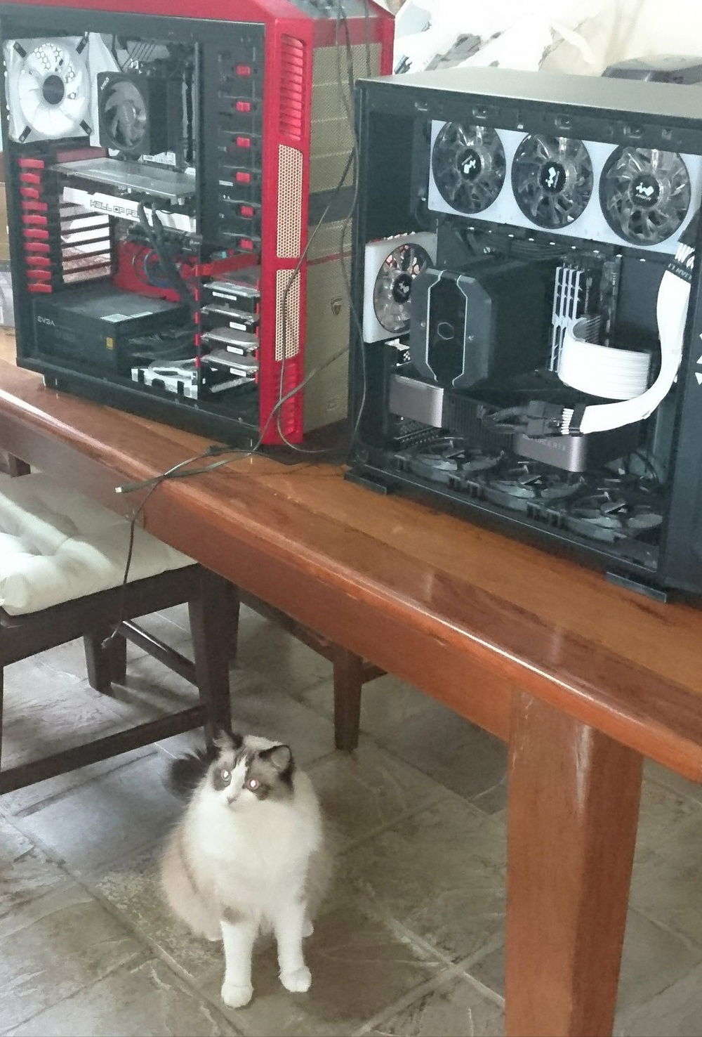 *De dusting* The plan was me an my housemate to build the same pcs to game together though one of us (Not me) got selected for a 3090 raffle to buy while they wanted a 3080 they saw the stock war hitting the rest of the world when they launched in australia soo i will join them in rtxon heaven one day xD (while they started off the same my housemate has made changes i haven't yet, cpu cooler, more ram,  etc