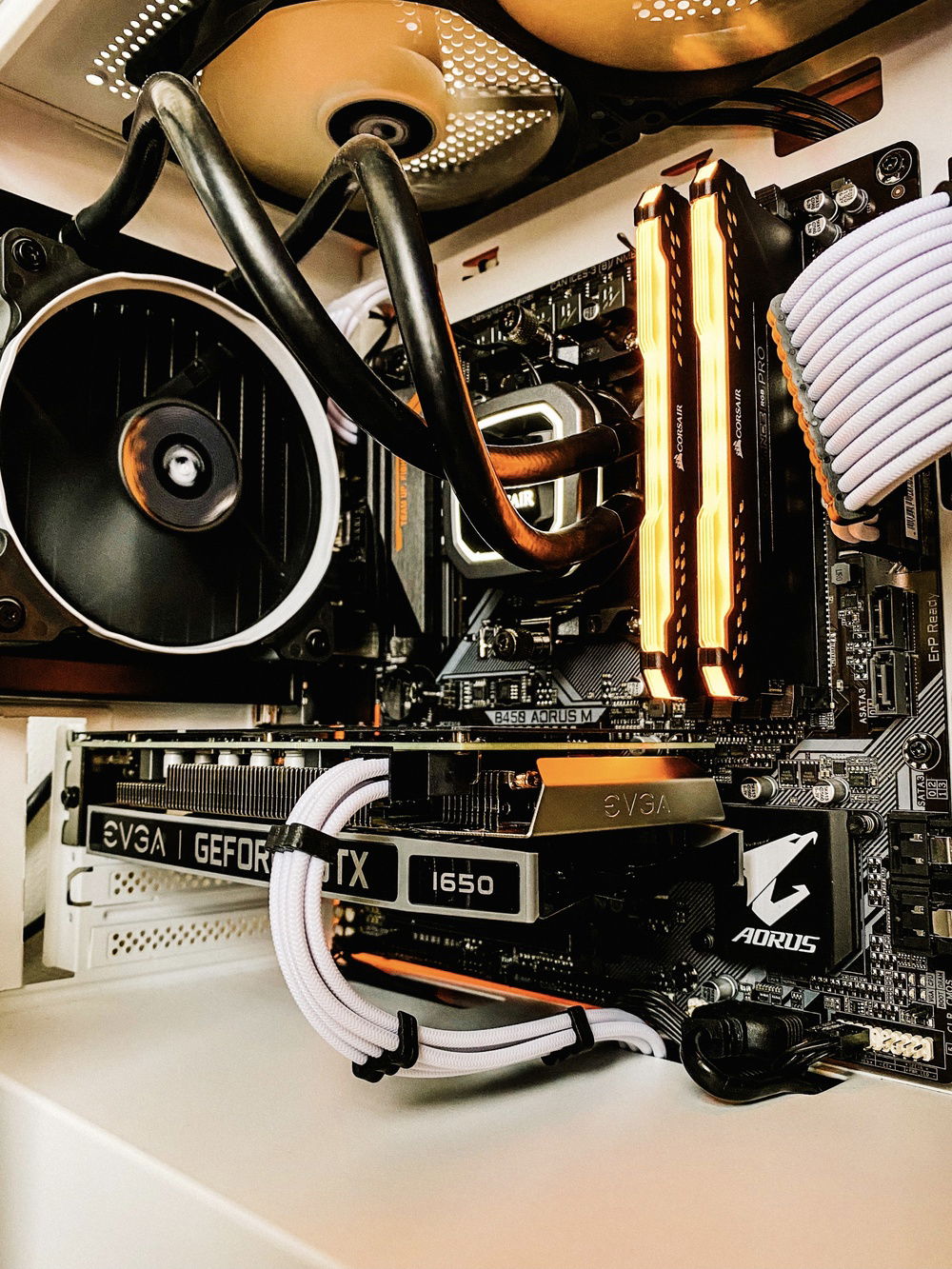 Started with white/orange