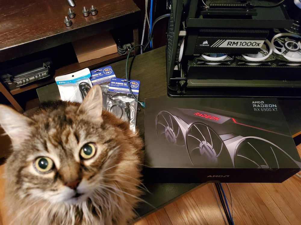 The 6900xt had to be approved by Mr. Cat (Pacha)