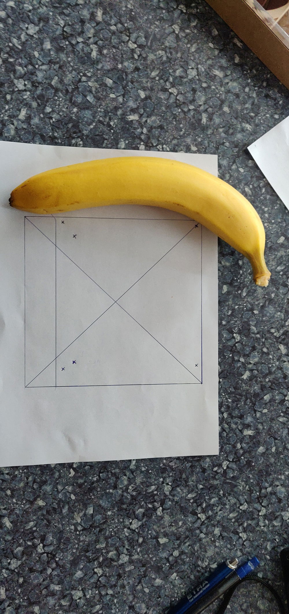 Mandatory banana for scale