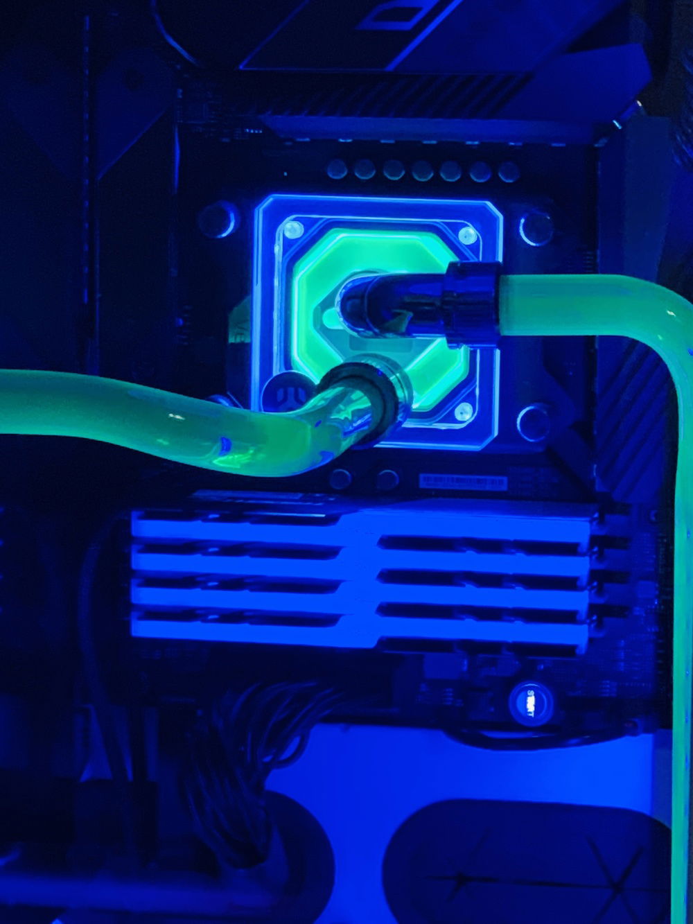 The heart needs blood to LIVE!!!!!