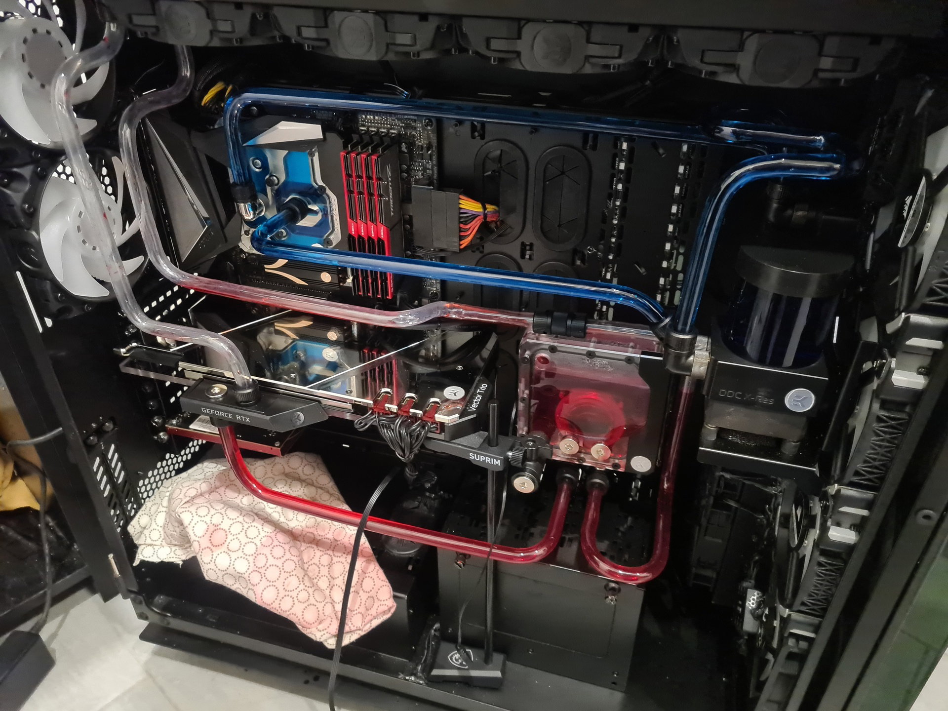 My Dual Loop Simple Buildsgg 