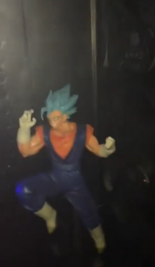 vegito B)