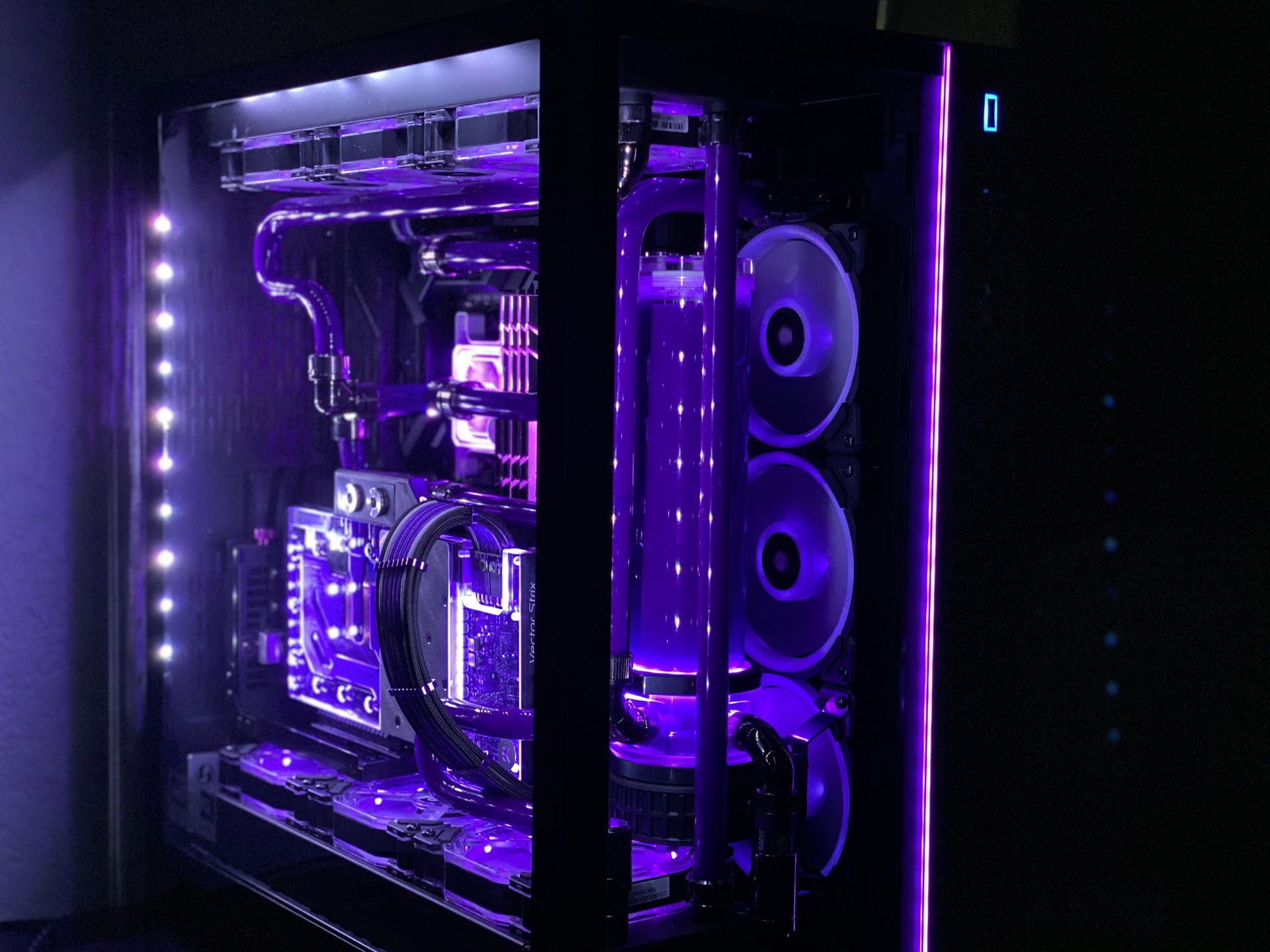 Purple Rain » builds.gg