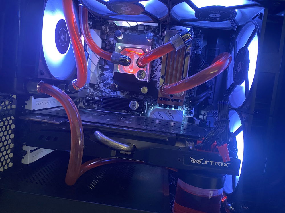 The Little Beast.