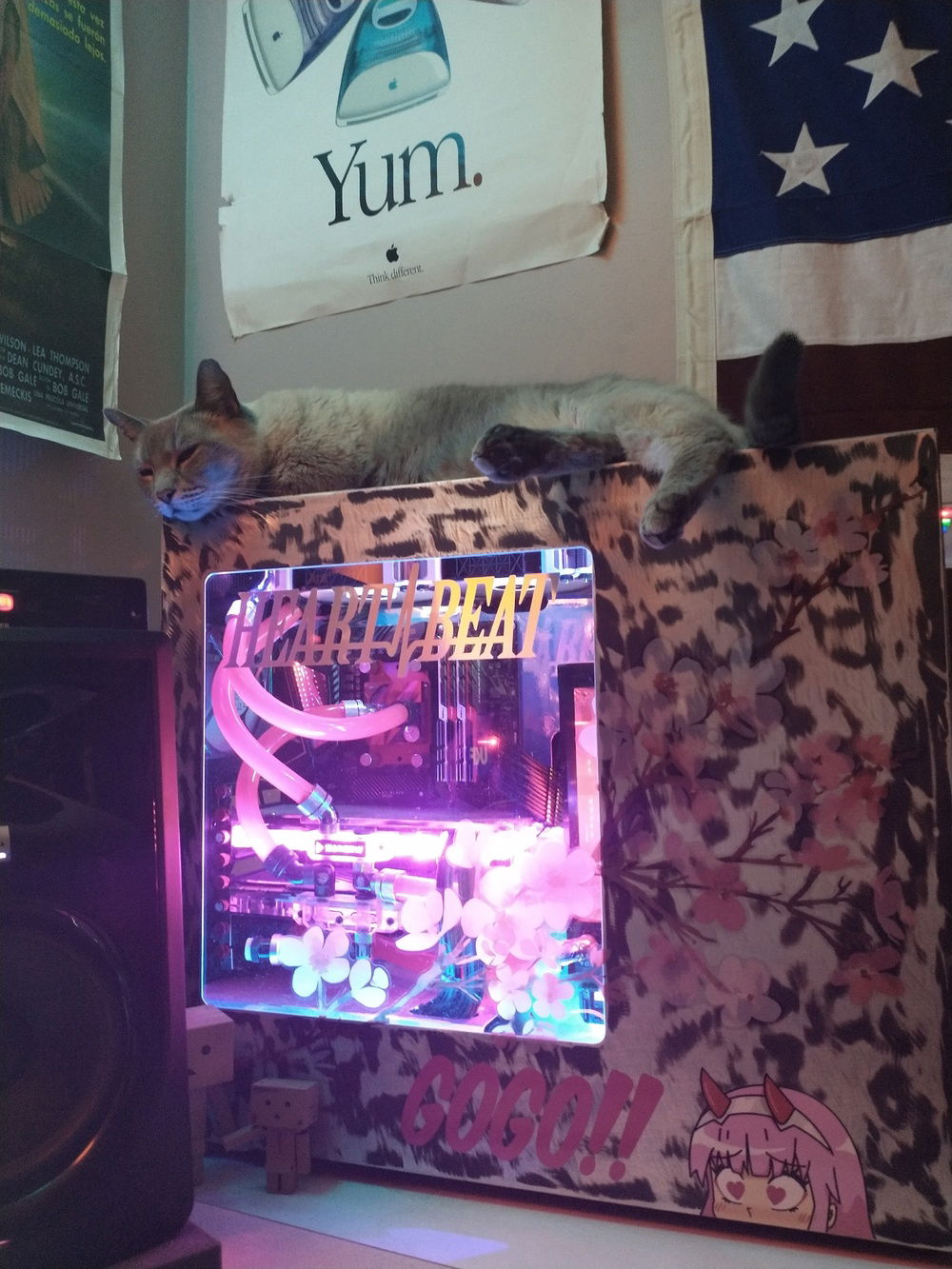 Gotta pay the cat tax