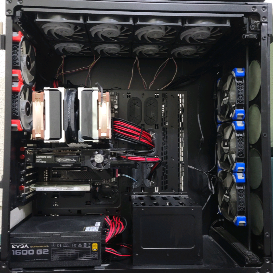 close up magnificent