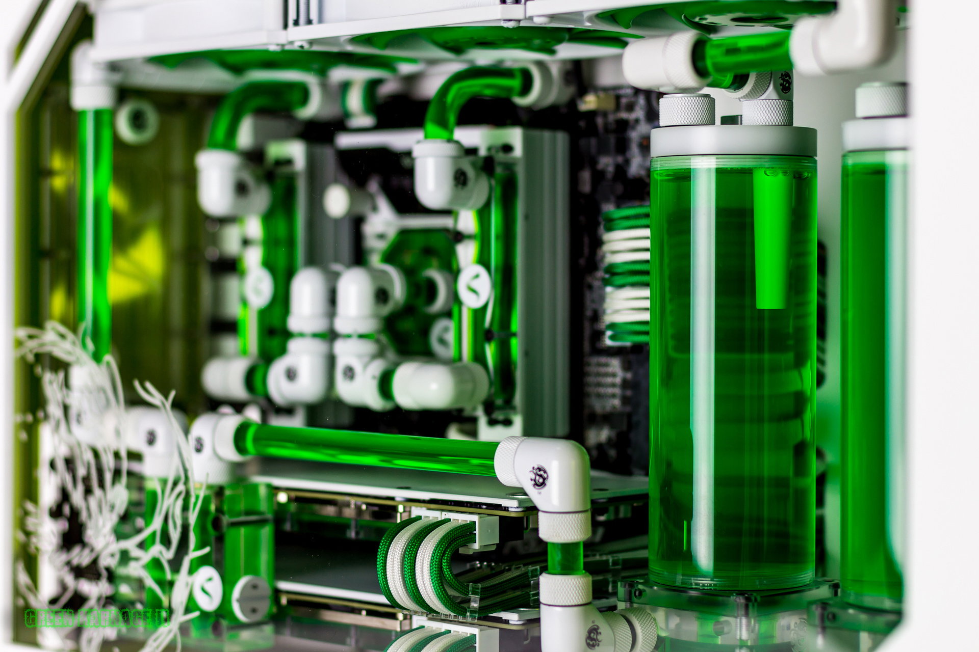 Green Carnage II » builds.gg