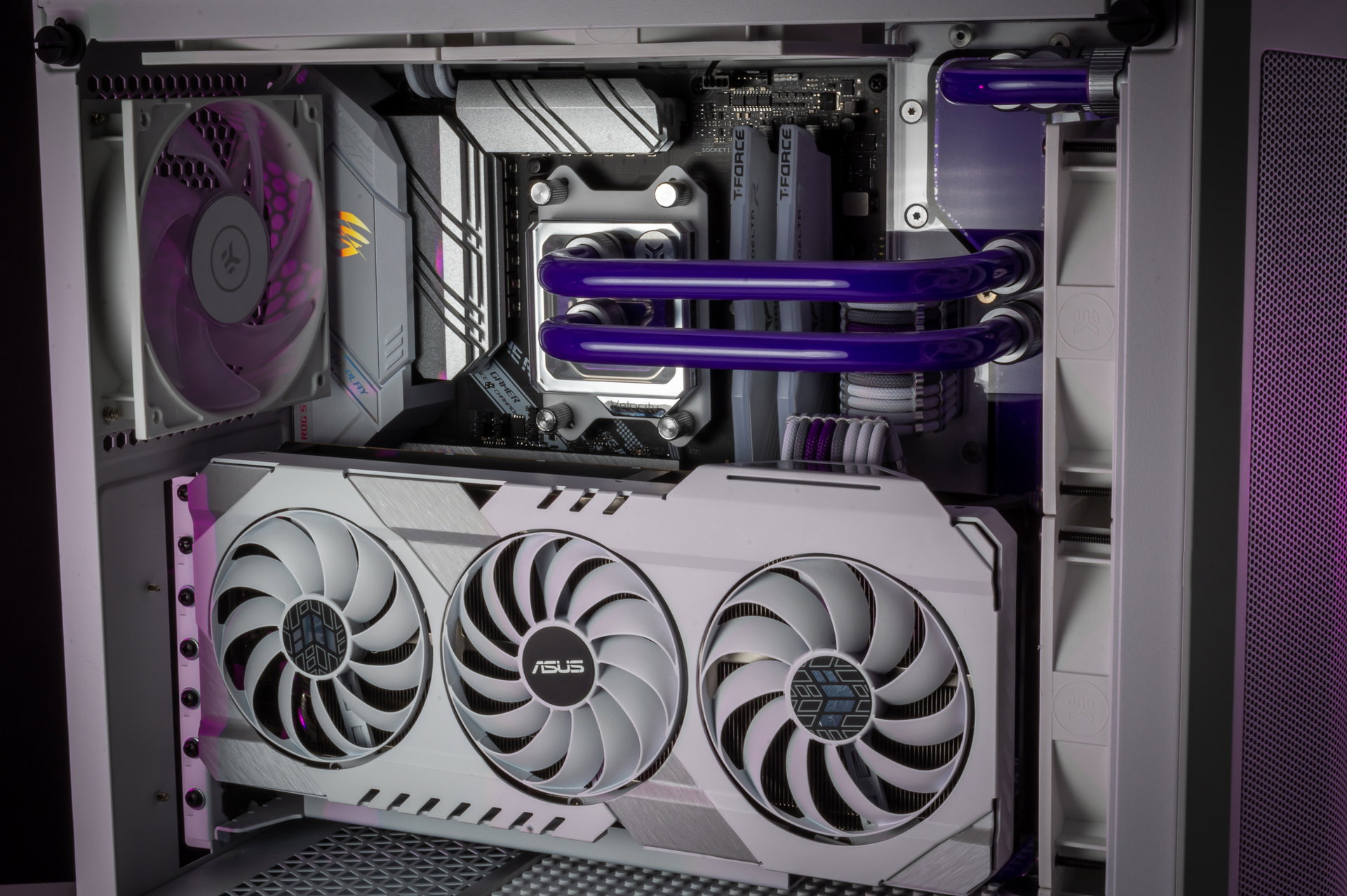 Asus Dream PC » builds.gg