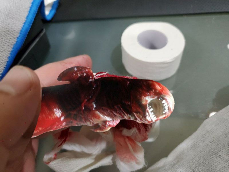 I knew I should have used rubbing alcohol.