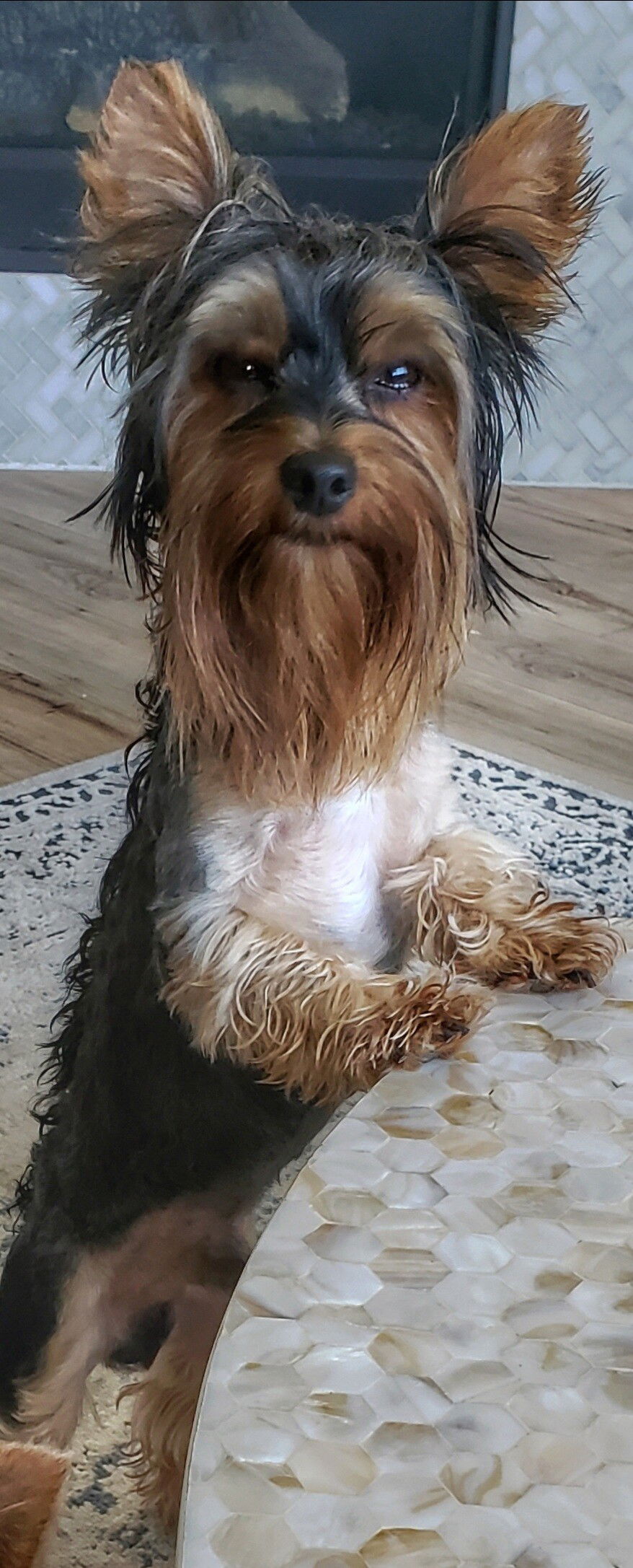 Thor the destroyer of PCs.