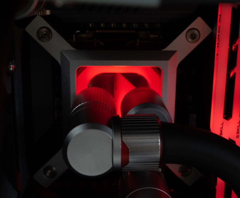 Peer into the little dragon's heart