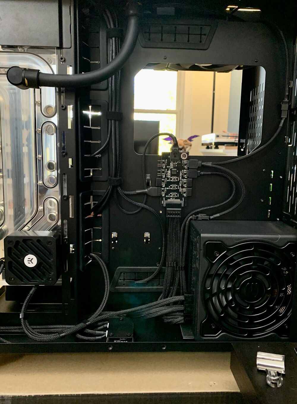 Terrible picture… and yes, there is a Zergling back there…