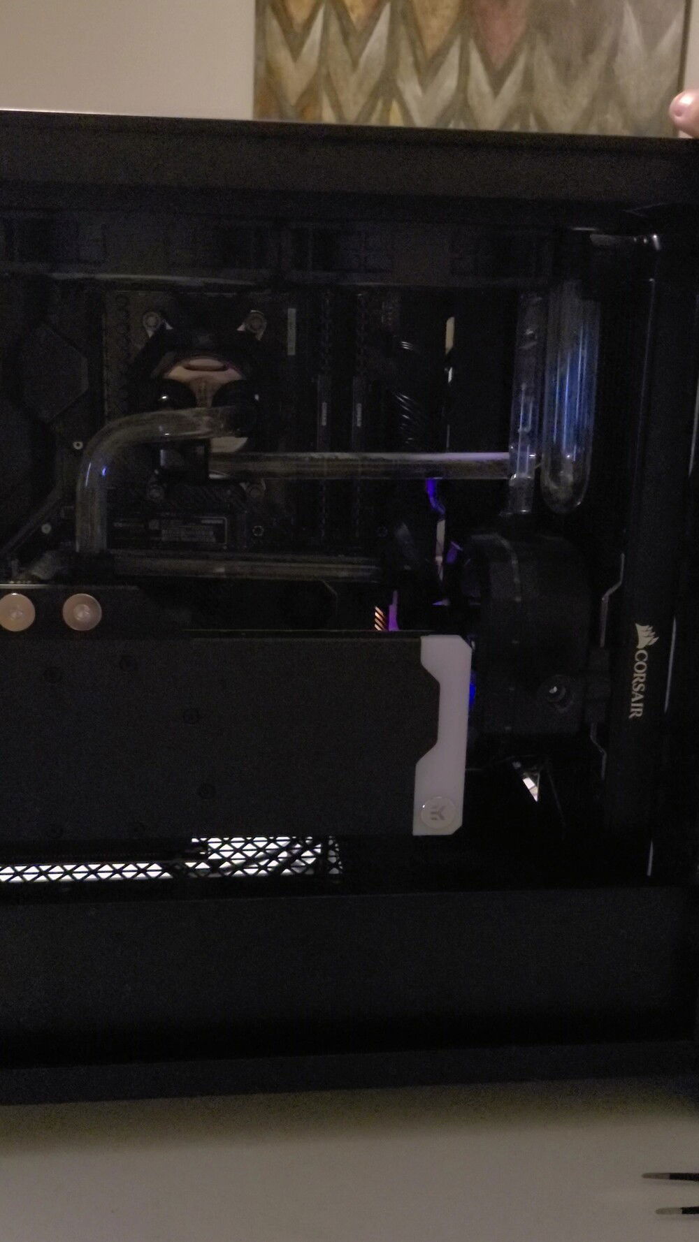 "And the moment you've all been waiting for!"