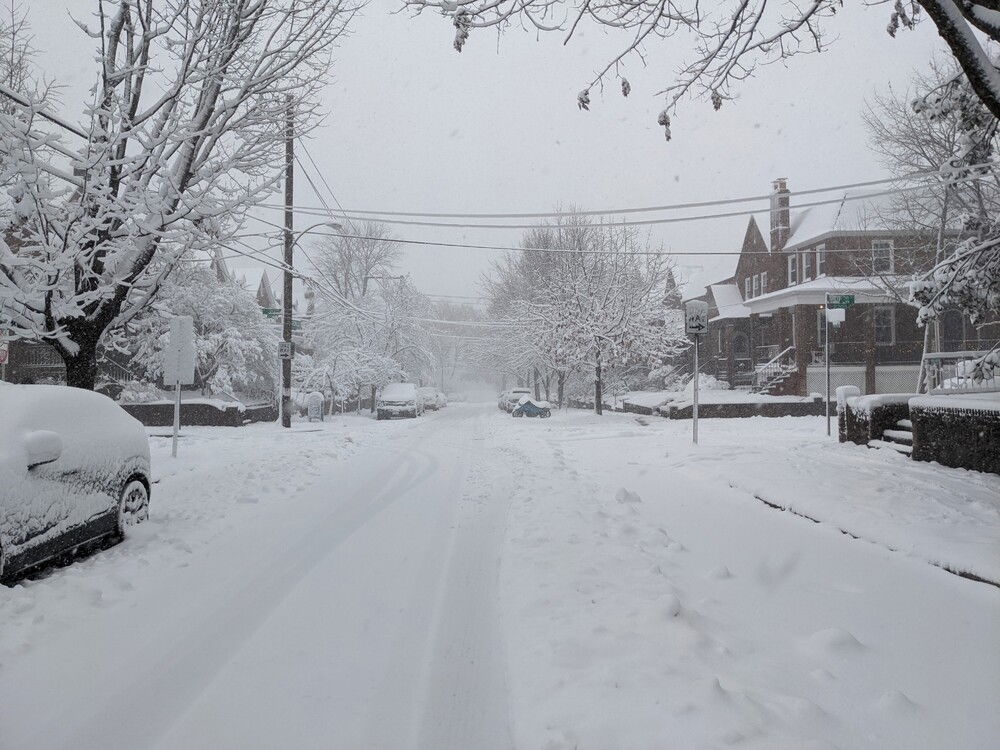 Trying to find the USPS truck that refuses to stop at my apartment in the snow (only love for the USPS, my apartment is on a pretty steep incline)