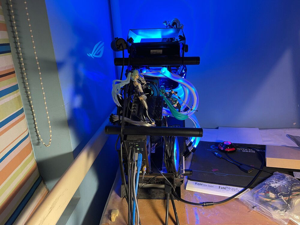 Back view. Notice that it is totally irregular.